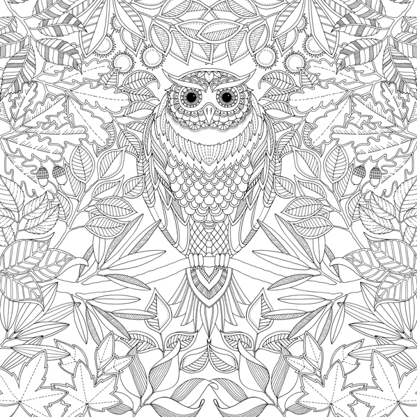 owl secret garden